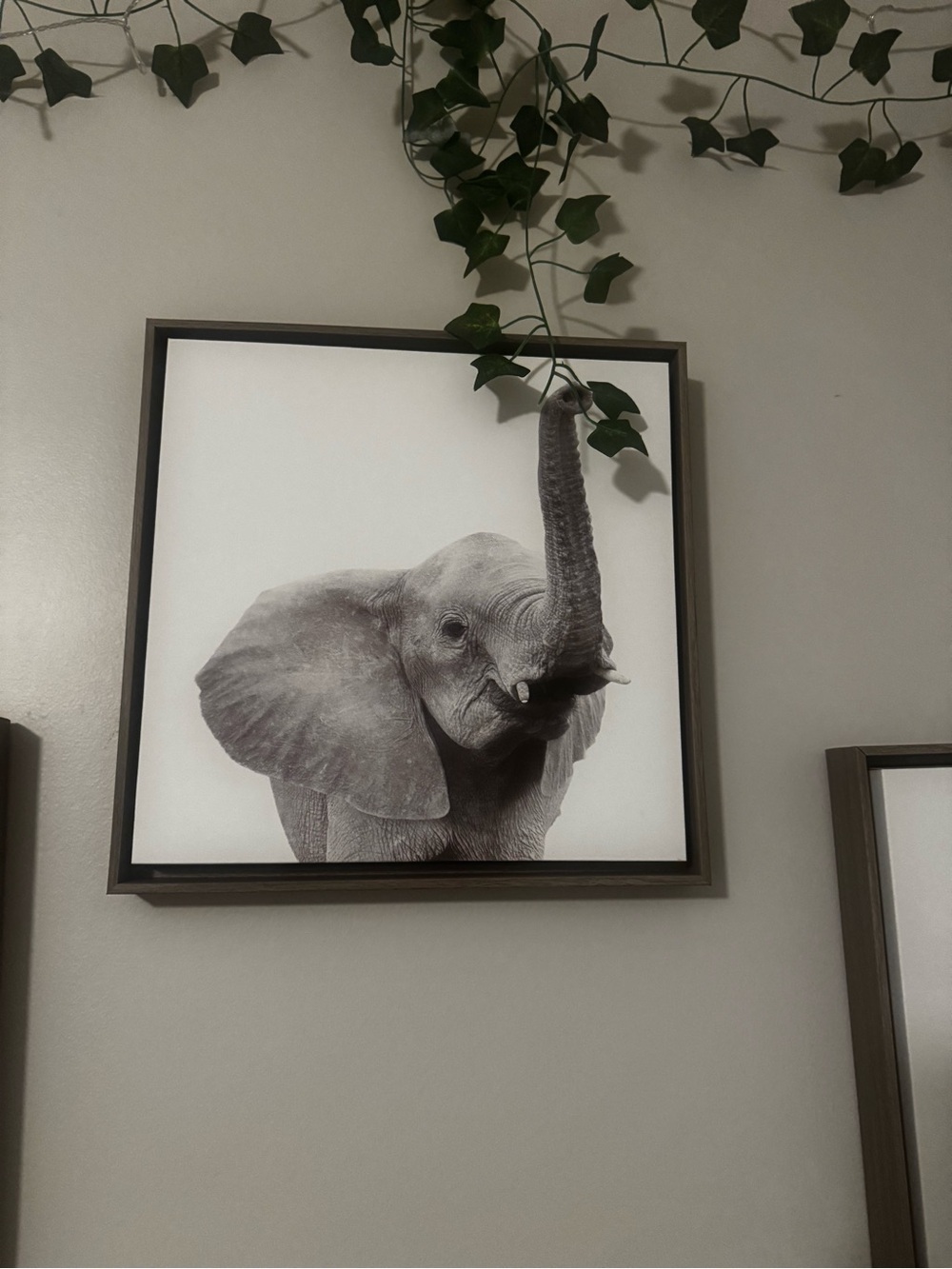 ‘Safari Animals’ by Amy Peterson - Floater Frame Graphic Art Prints (Set of 6) - Picture 8 of 11
